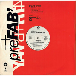 David Grant Big Love USED VINYL 12INCH PROMO