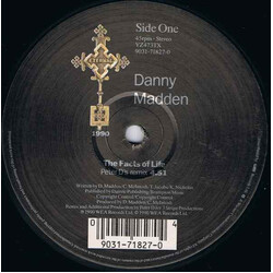 Danny Madden The Facts Of Life (Presenting The Remix) USED VINYL 12INCH 45 RPM