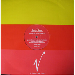 Better Days You Can Do It (You Know) USED VINYL 12INCH PROMO