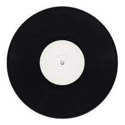 Martha Wash Catch The Light 2003 USED VINYL 12INCH SINGLE SIDED UNOFFICIAL RELEASE WHITE LABEL