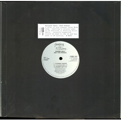 Geoffrey Williams Summer Breeze USED VINYL 12INCH PROMO 45 RPM
