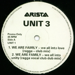 Unit 3 (2) We Are Family USED VINYL 12INCH 45 RPM