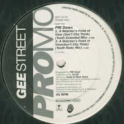 P.M. Dawn A Watcher's Point Of View USED VINYL 12INCH 45 RPM PROMO