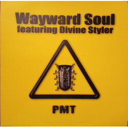 Wayward Soul / Divine Styler PMT USED VINYL 12INCH 45 RPM SINGLE