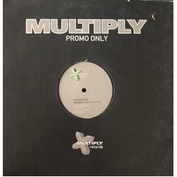 Hurley & Todd Sunstorm USED VINYL 12INCH PROMO