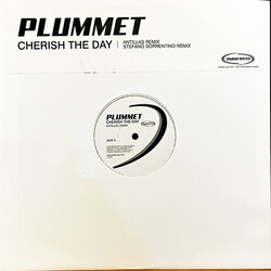 Plummet Cherish The Day USED VINYL 12INCH PROMO