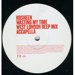 Kosheen Wasting My Time (Part 1) USED VINYL 12INCH PROMO
