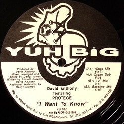 David Anthony / Protege I Want To Know USED VINYL 12INCH 33 S RPM