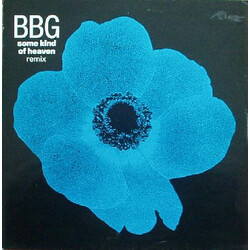 BBG Some Kind Of Heaven Remix USED VINYL 12INCH