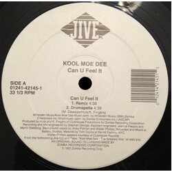Kool Moe Dee Can U Feel It USED VINYL 12INCH 33 S RPM