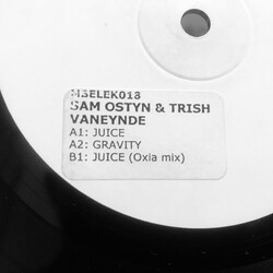 Sam Ostyn & Trish Van Eynde Open Window E.P. USED VINYL 12INCH EP WHITE LABEL