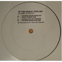 Lonnie Gordon If You Really Love Me USED VINYL 12INCH WHITE LABEL PROMO