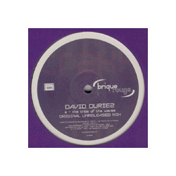 David Duriez Tribe Of The Waves USED VINYL 12INCH