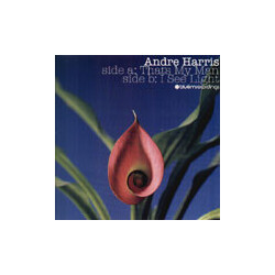 Andre Harris That's My Man / I See Light USED VINYL 12INCH 33 S RPM