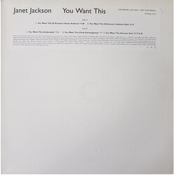 Janet Jackson You Want This USED VINYL 12INCH PROMO