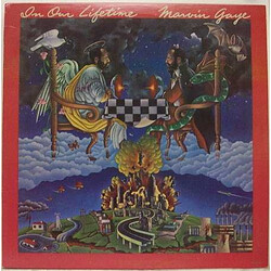 Marvin Gaye In Our Lifetime Vinyl LP USED