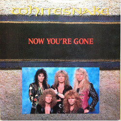 Whitesnake Now You're Gone USED VINYL 7INCH 45 RPM SINGLE STEREO