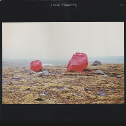 Steve Tibbetts Exploded View Vinyl LP USED