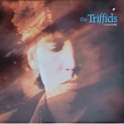 The Triffids Calenture Vinyl LP USED