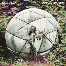 Steve Gunn Eyes On The Lines Vinyl LP USED