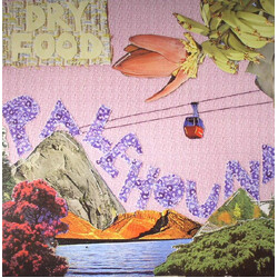Palehound Dry Food Vinyl LP USED