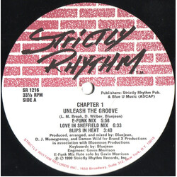 Chapter 1 Unleash The Groove USED VINYL 12INCH 33 S RPM