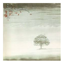 Genesis Wind & Wuthering Vinyl LP USED