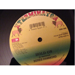 Beres Hammond / Diana Rutherford Hold On / Trains Boats & Planes Vinyl 12" USED
