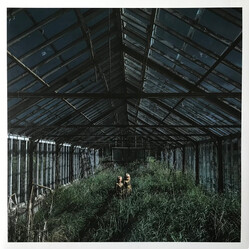 Foxing Dealer Vinyl LP USED