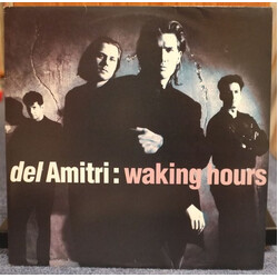 Del Amitri Waking Hours Vinyl LP USED