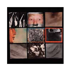 SFN / In Disgust SFN / In Disgust USED VINYL 7INCH SINGLE SIDED 45 RPM LIMITED EDITION