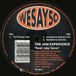 The Jam Experience Feel My Love USED VINYL 12INCH 33 S RPM