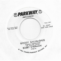 Bobby Sherman Goody Galum-shus / Anything Your Little Heart Desires Vinyl 7" USED