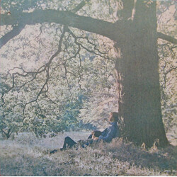 Yoko Ono / The Plastic Ono Band Yoko Ono / Plastic Ono Band Vinyl LP USED