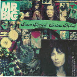 Mr. Big Green Tinted Sixties Mind USED VINYL 7INCH 45 RPM STEREO