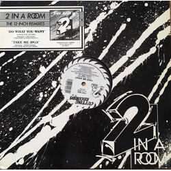 2 In A Room Do What You Want / Take Me Away USED VINYL 12INCH 33 S RPM
