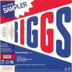 Brian Briggs Special Sampler (Selected Music From The Album Brian Damage) USED VINYL 12INCH 33 S RPM REISSUE SAMPLER STEREO