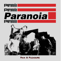 Paranoia (9) Pain & Pleasure Vinyl LP USED