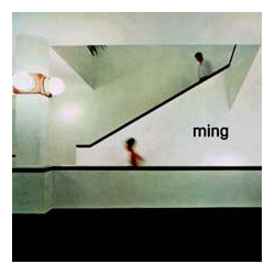 Ming Interior Escalator Vinyl 12" USED