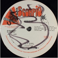 Singing Melody / Mikey Melody / Beenie Don Hey Girl / Whey Dem A Go Do Vinyl 12" USED