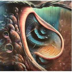 Various Meddle Reimagined - A Tribute To Pink Floyd Vinyl LP USED