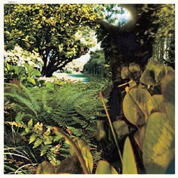 Pekka Streng Puutarhassa / In The Garden USED VINYL 12INCH 45 RPM