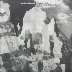 Andrew Wasylyk Fugitive Light And Themes Of Consolation Vinyl LP USED