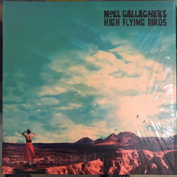 Noel Gallagher's High Flying Birds Who Built The Moon? Vinyl LP USED