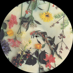 Scritti Politti Absolute USED VINYL 12INCH 45 RPM SINGLE PICTURE DISC