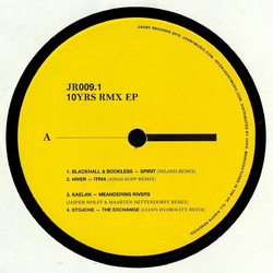 Various 10Yrs Rmx EP Vinyl 12" USED