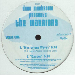 Duke Mushroom / The Warriors (2) Mysterious Waves USED VINYL 12INCH