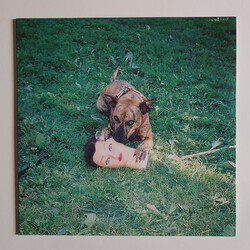 Joyce Manor Cody Vinyl LP USED