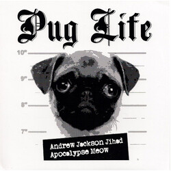 Andrew Jackson Jihad / Apocalypse Meow Pug Life USED VINYL 7INCH 45 RPM