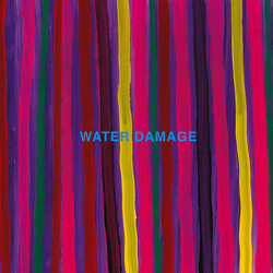 Water Damage (3) 2 Songs Vinyl LP USED